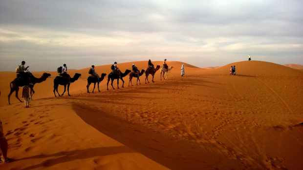 desert caravan dune ride